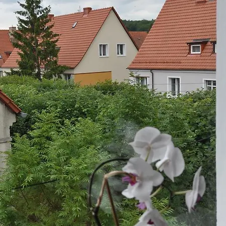 Apartament Kreckiego アパート